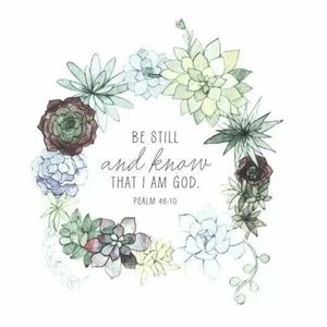 Meet your Posher, Teri